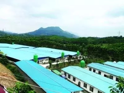 918搏天堂(中国区)官方网站