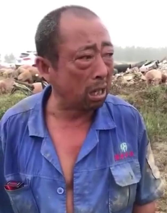 918搏天堂(中国区)官方网站