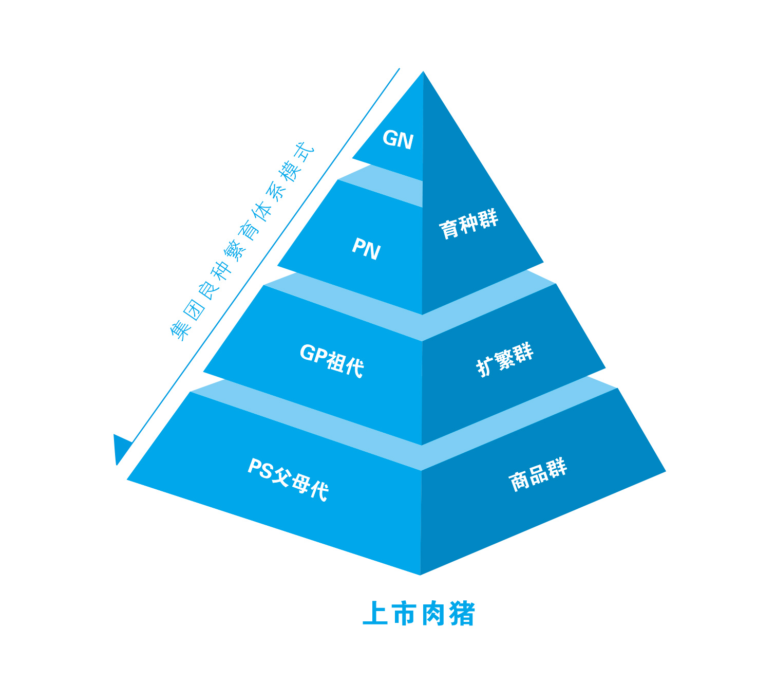 918搏天堂(中国区)官方网站